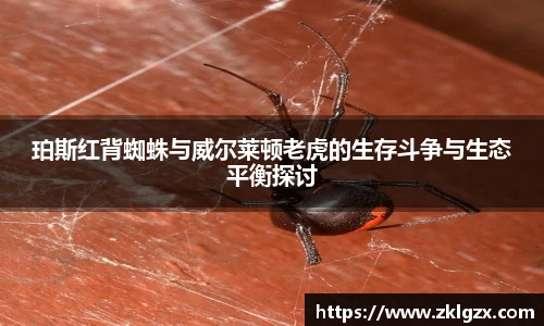 珀斯红背蜘蛛与威尔莱顿老虎的生存斗争与生态平衡探讨