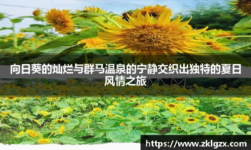 向日葵的灿烂与群马温泉的宁静交织出独特的夏日风情之旅